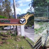 Dua Ekor Buaya Telah Terlepas, Di Matang Wildlife Centre, Orang Ramai Diminta Untuk Berhati – hati.